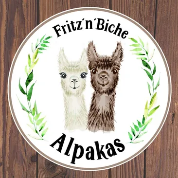 Alpaka-Wanderung 