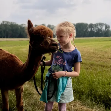 Wir biete unterschiedliche Aktionen mit Alpakas